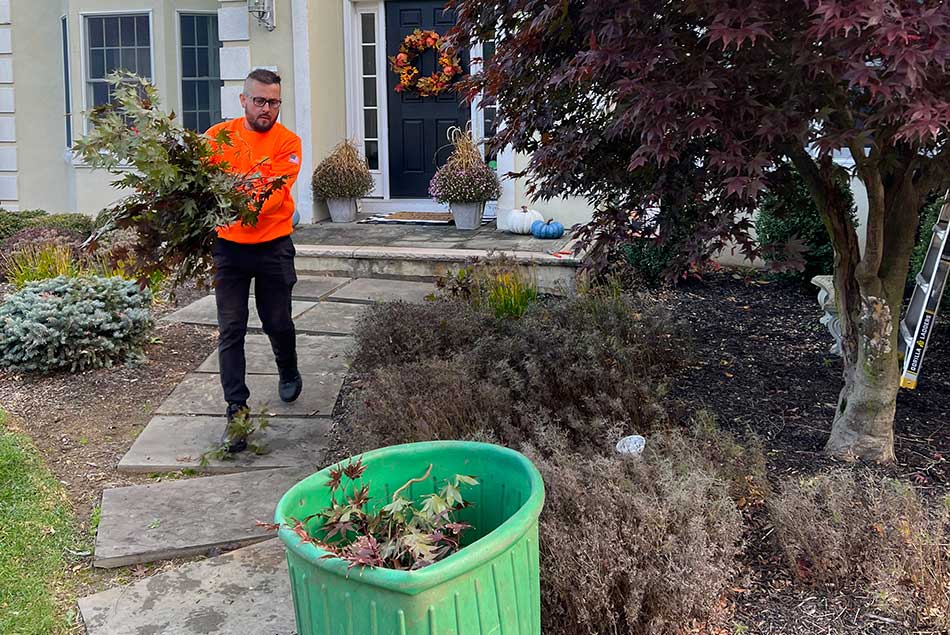 Tree Pruning