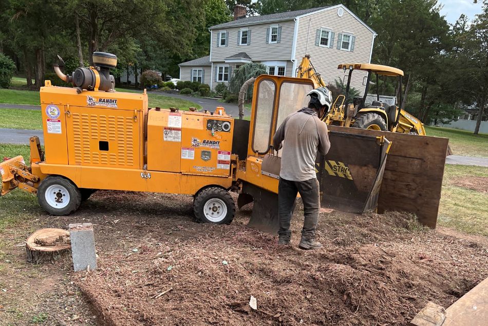 Stump Grinding