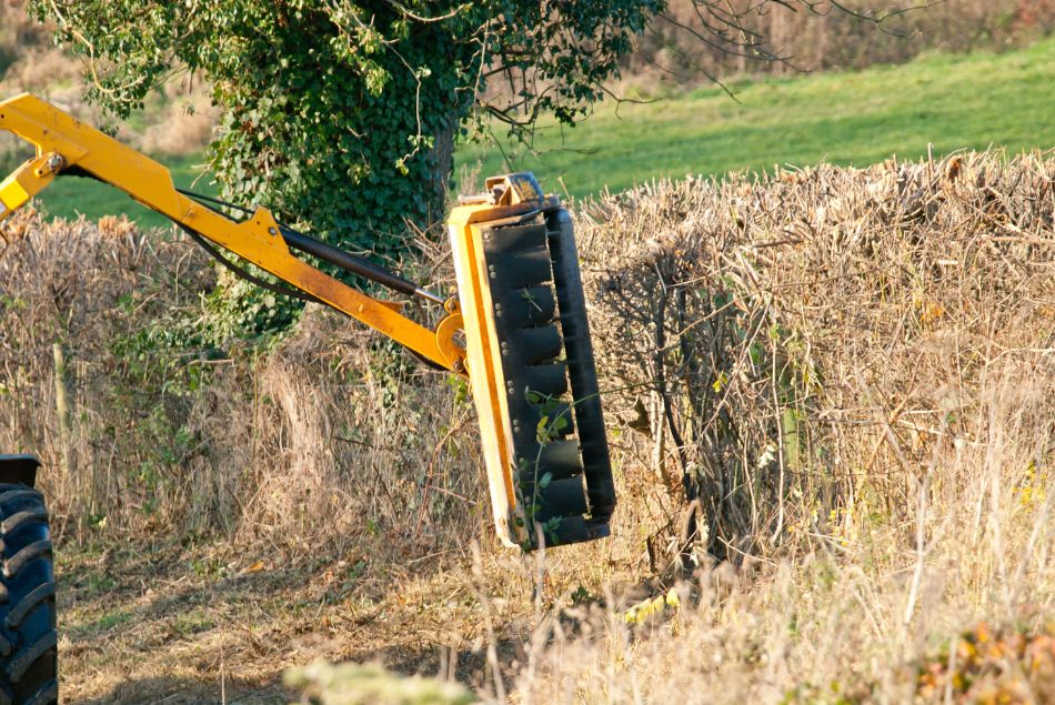 Hedge Trimming