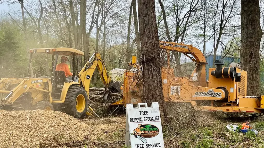 Best Tree Service in NJ - Lumberjacks