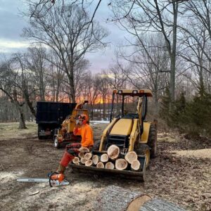 Tree care service in Bernardsville