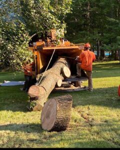 Tree care service far hills