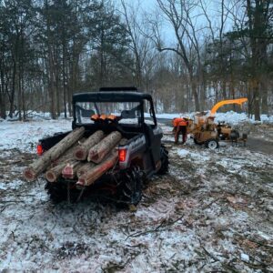 Tree care service in Bernardsville