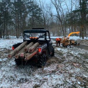 Tree Care Service Mendham