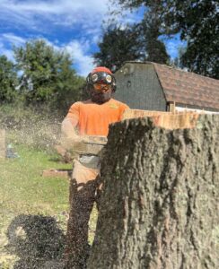 Tree Trimming Service