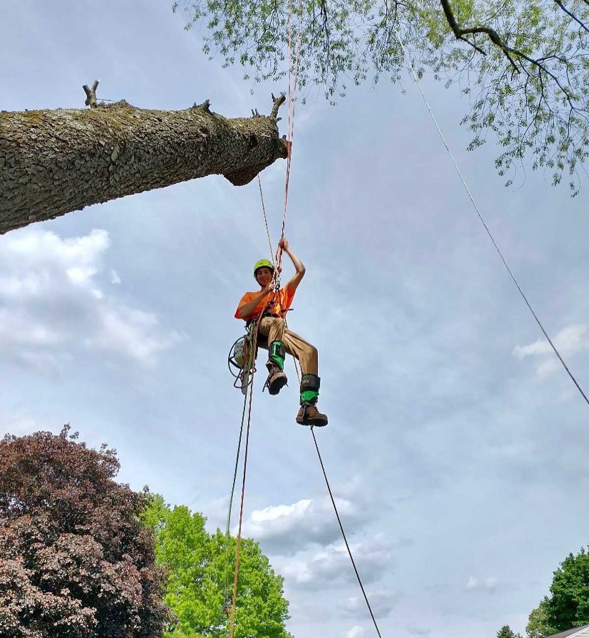 Tree-Removal