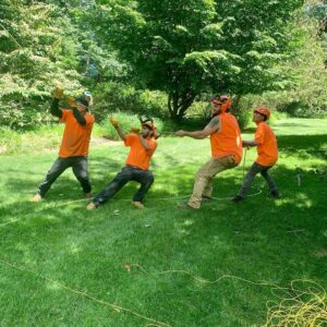 amazing tree service NJ