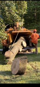 Professional Tree Trimming Service​ NJ