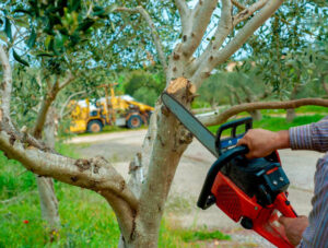 Expert Tree Service NJ