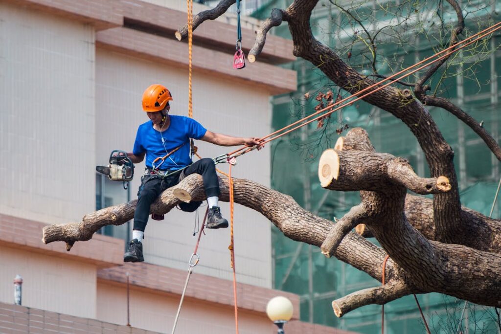 new jersey tree service