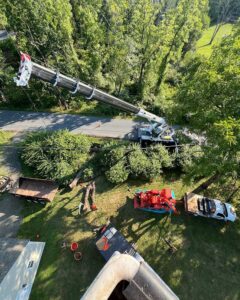 Tree Service Asbury