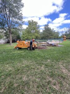 Tree Planting New Jersey