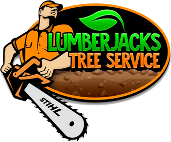 Lumberjacks Tree Service LLC