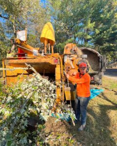 tree service Flemington