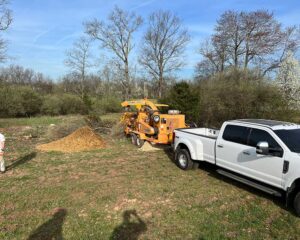 Tree Service Glen Gardner