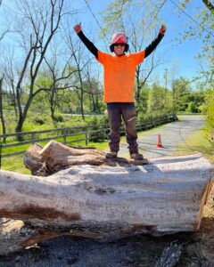 Tree Service Bernardsville