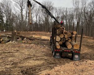 Tree Service Glen Gardner