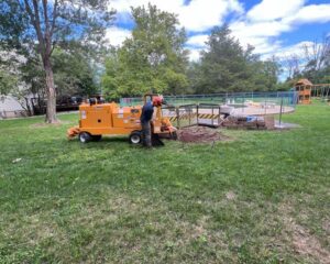 Stump Grinding Over Stump Removal