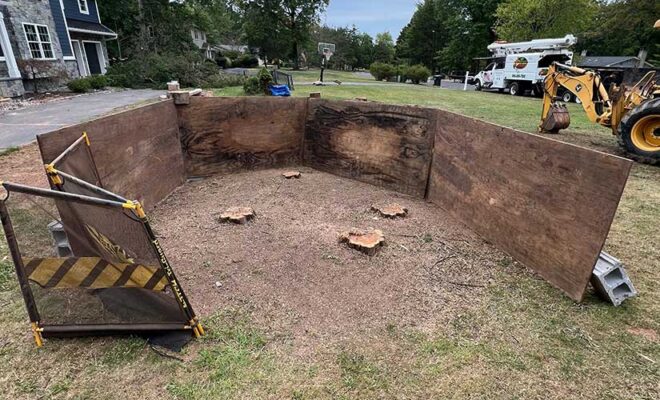 Stump Grinding Over Stump Removal