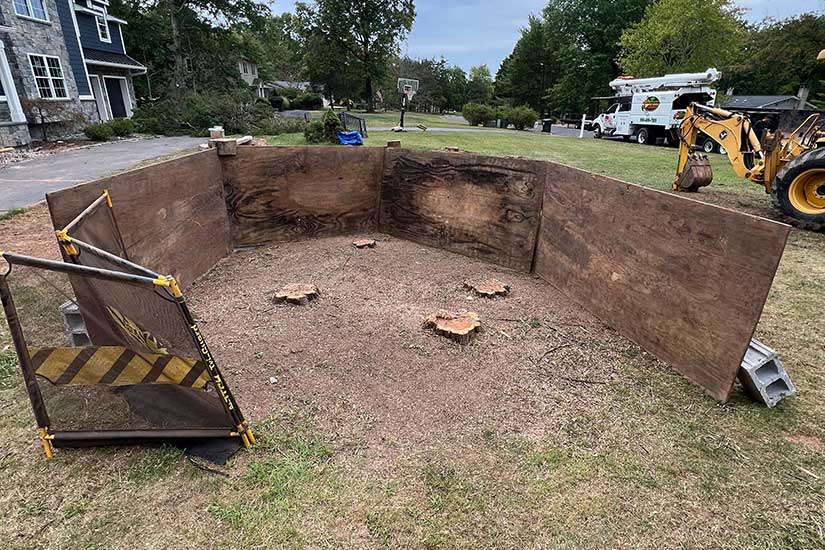 Stump Grinding Over Stump Removal