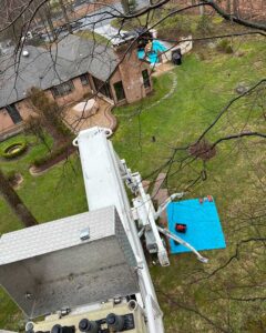 Tree Service Lebanon