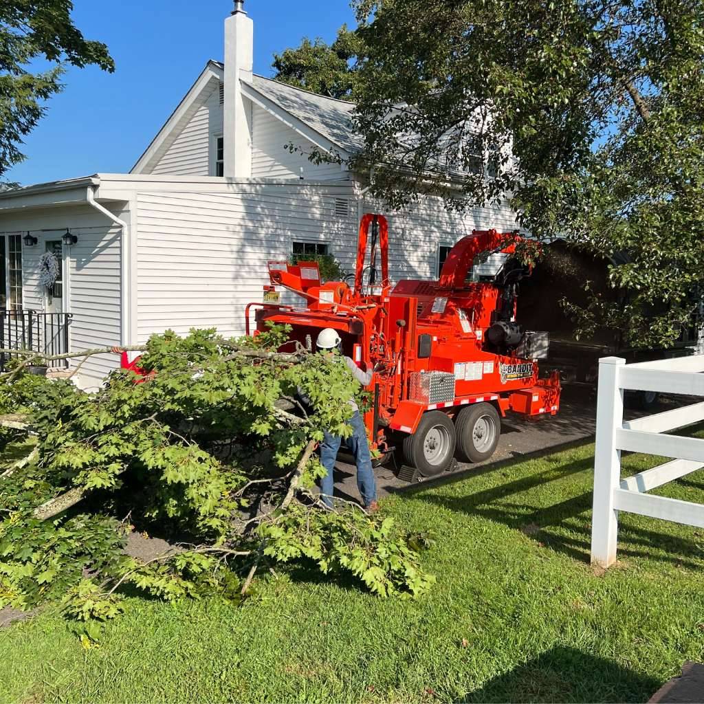 FAQ - Lumberjacks Tree Service LLC