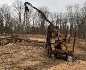 Land Clearing Service New Jersey