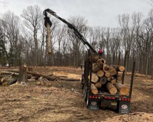 New Jersey Tree Masters