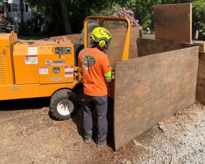 Tree Pruning and Stump Grinding