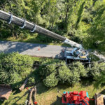 Residential-tree-services-in-NJ