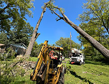 Residential-tree-services-in-NJ2