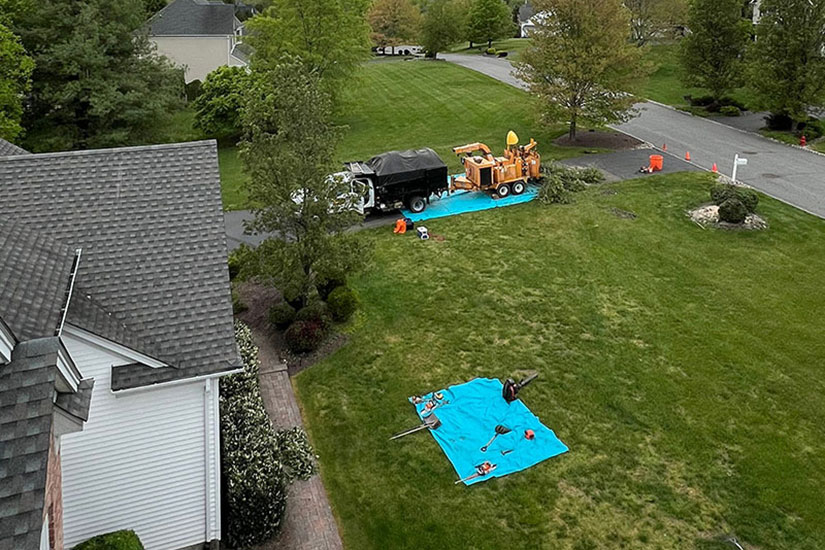 Tree-planting-and-hedge-trimming