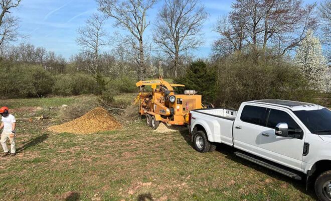 Land Clearing and Brush Removal New Jersey