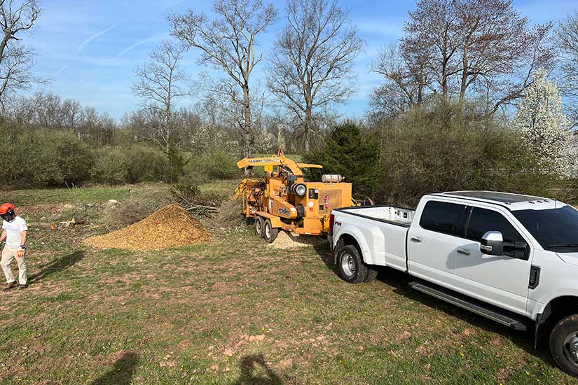 Land Clearing and Brush Removal New Jersey