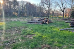 Land Clearing and Brush Removal New Jersey