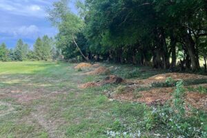 Land Clearing and Brush Removal New Jersey