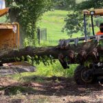 Local Tree Service​ New jersey