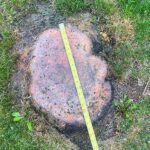 Professional Stump Grinding Solutions NJ