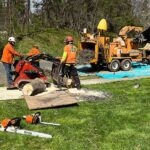 Hedge Trimming Service New Jersey