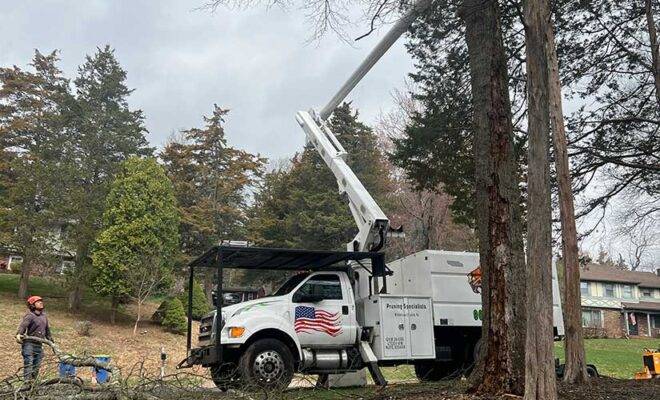 Emergency Tree Service Tewksbury