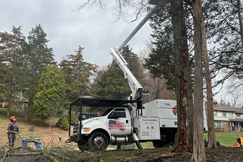 Emergency Tree Service Tewksbury