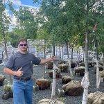 Best Tree Health Assessment NJ