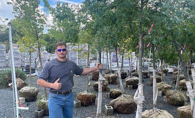 Best Tree Health Assessment NJ