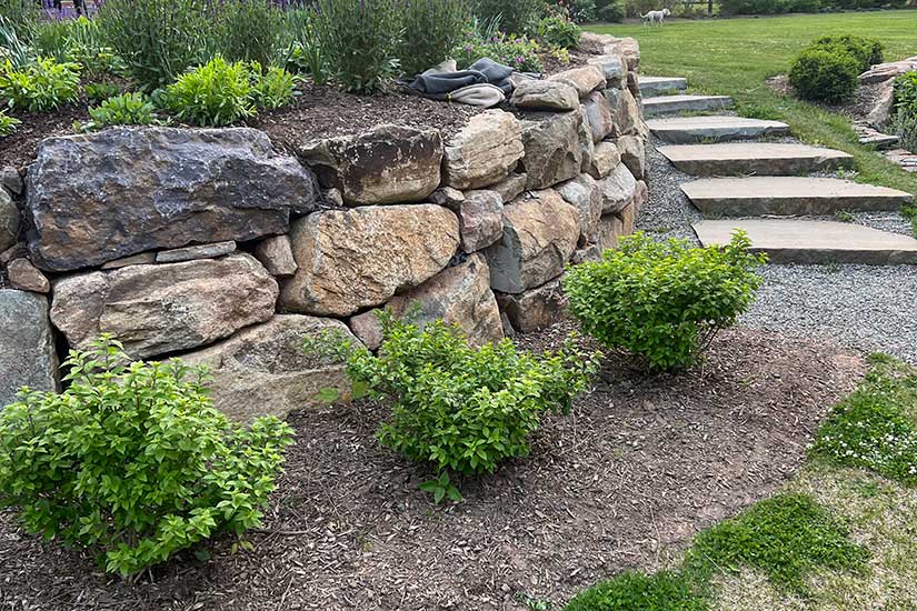 cost to plant a tree in NJ