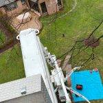 Crown Pruning New Jersey