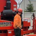 Affordable Tree Services New Jersey