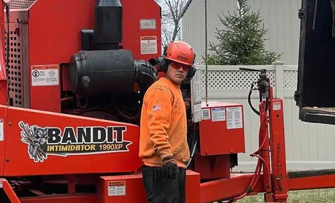 Affordable Tree Services New Jersey