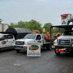 Tree Removal Service Morristown