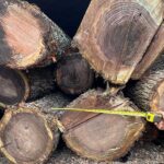 Buy Firewood in New Jersey
