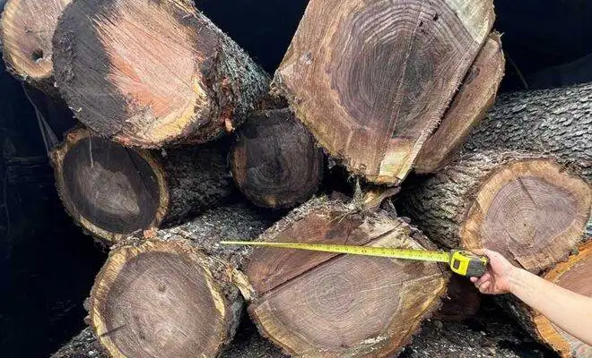 Buy Firewood in New Jersey